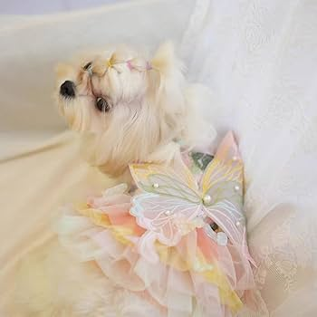 Dog Butterfly Dress | Princess Dog Dress | PuppiPals
