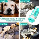 Dog Teeth Cleaning Toy | Dog Chew Toy | PuppiPals