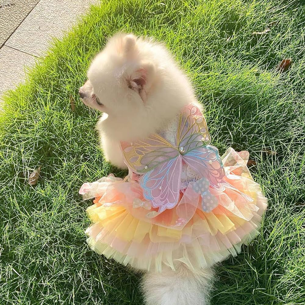Dog Butterfly Dress | Princess Dog Dress | PuppiPals