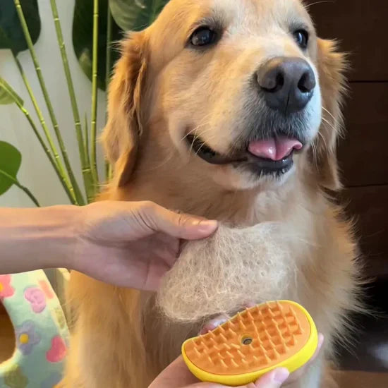 3-In-1 Pet Steaming Brush | Pet Steaming Brush | PuppiPals