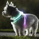 Dog LED Harness | Dog LED Neon Harness | PuppiPals